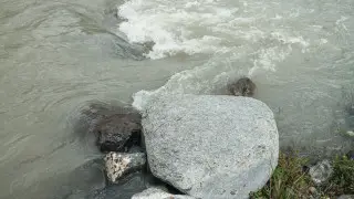 Горная река затопила медцентр и 7 дворов в Алматинской области