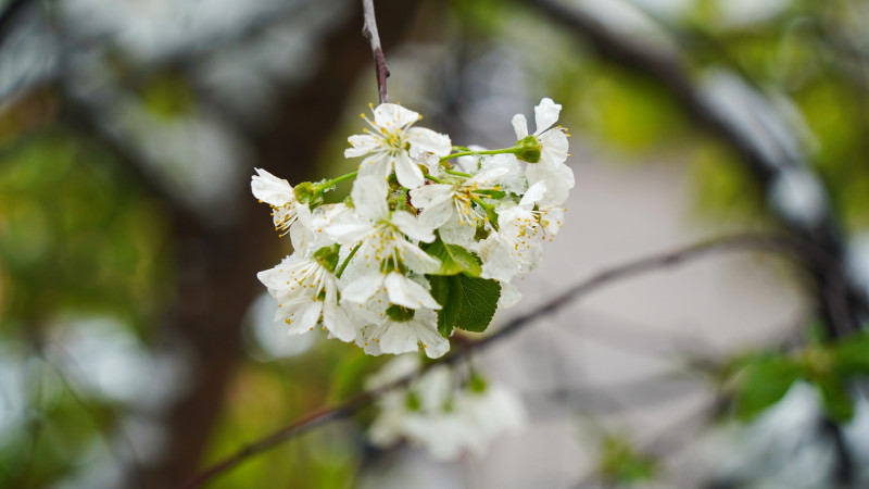 Фото:depositphotos.com