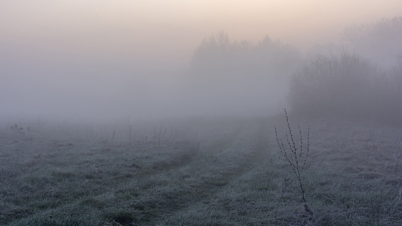 Фото:depositphotos.com