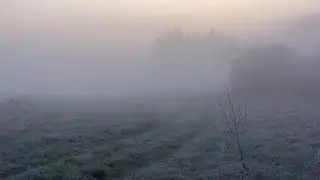 Какая погода ждет Алматы в ближайшие дни