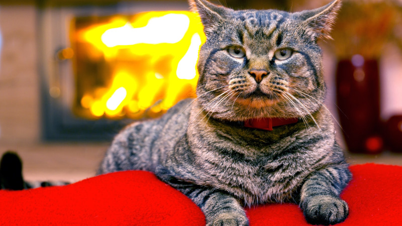 Фото:depositphotos.com