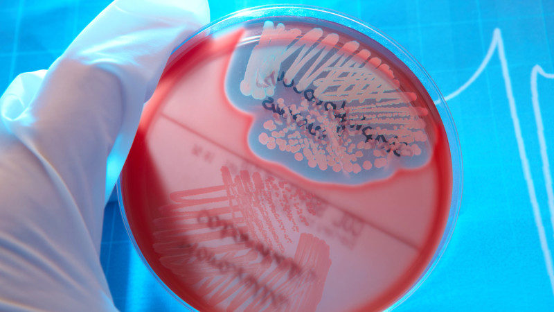 Фото:depositphotos.com