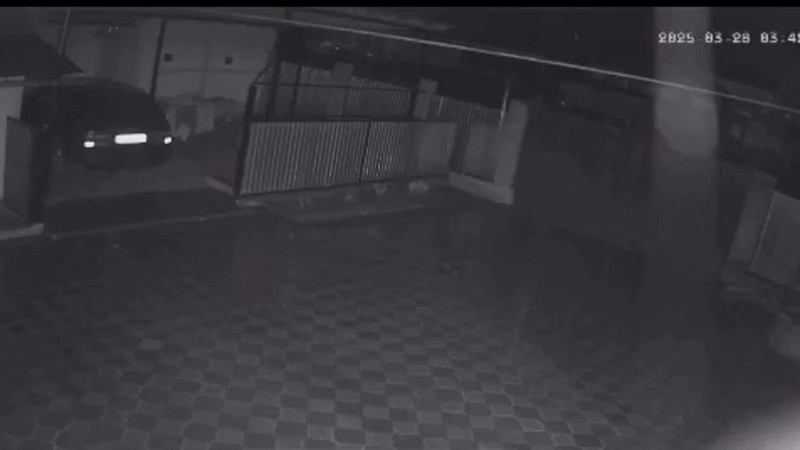 Кадры из видео