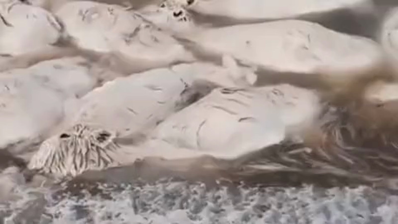 Кадры из видео