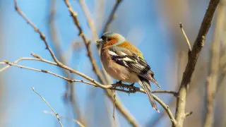 Когда в Алматы вернется тепло