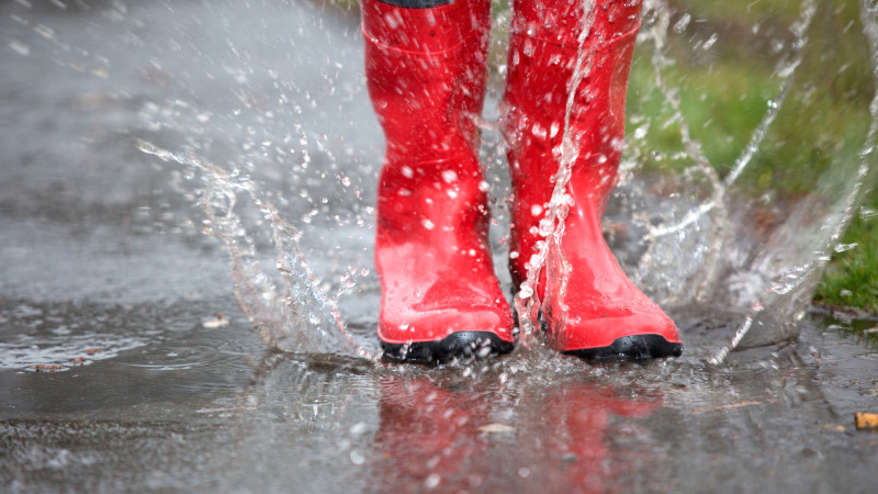 Фото:depositphotos.com