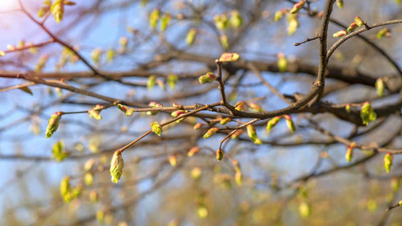 Фото:depositphotos.com