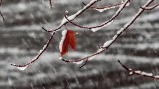 Какие шутки приготовила казахстанцам погода на 1 апреля