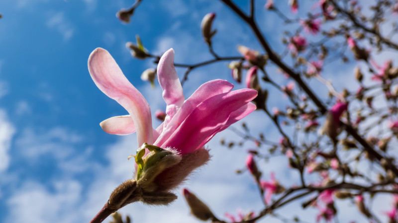 Фото:depositphotos.com