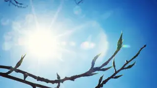 Аномальная жара в Казахстане: где 2 апреля ожидается до +30 градусов