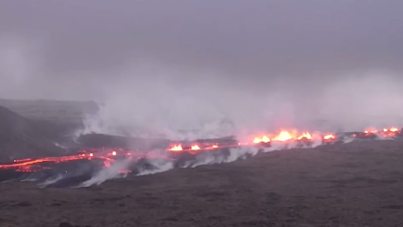 Скриншот: The Independent