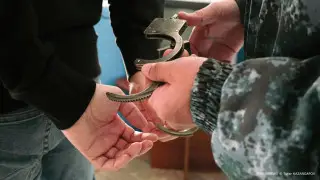 Убил и сжег бизнес-партнера - в полиции Алматинской области начали расследование