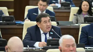 Депутат о скандальном фото с флагом Казахстана: Провокация была спланирована заранее