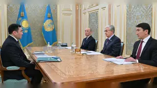Токаев дал поручения министру энергетики