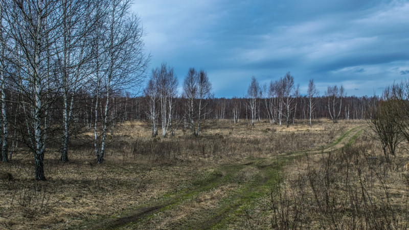 Фото:depositphotos.com