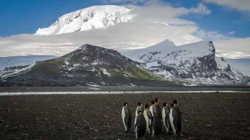 ©️ depositphotos.com