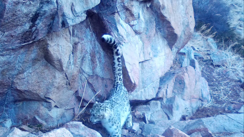 Кадры из видео