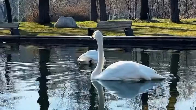 Кадры из видео