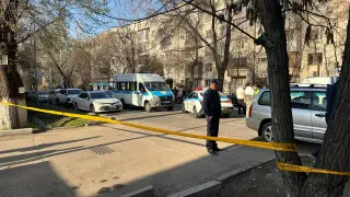 Еще один ребенок погиб под колесами авто в Алматы