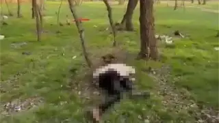 Жуткая находка в сквере Тараза: полиция задержала подозреваемого