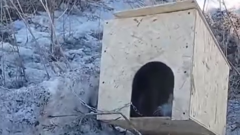 Кадр из видео