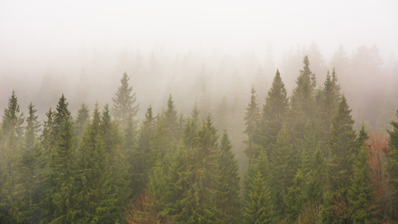 Фото:depositphotos.com