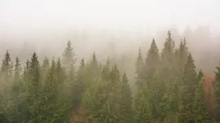 Туман и гроза: как изменится погода в Казахстане 5 апреля