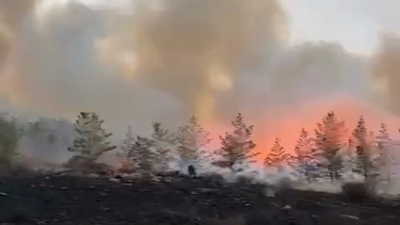 Кадры из видео