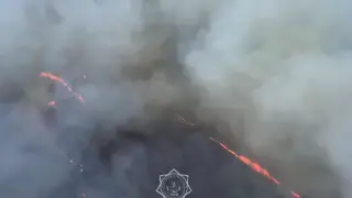 Распространение огня на территорию соснового бора в области Абай остановлено