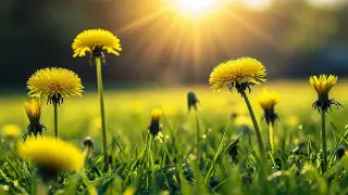 Мороз до 5 градусов и 32-градусная жара придут в Казахстан