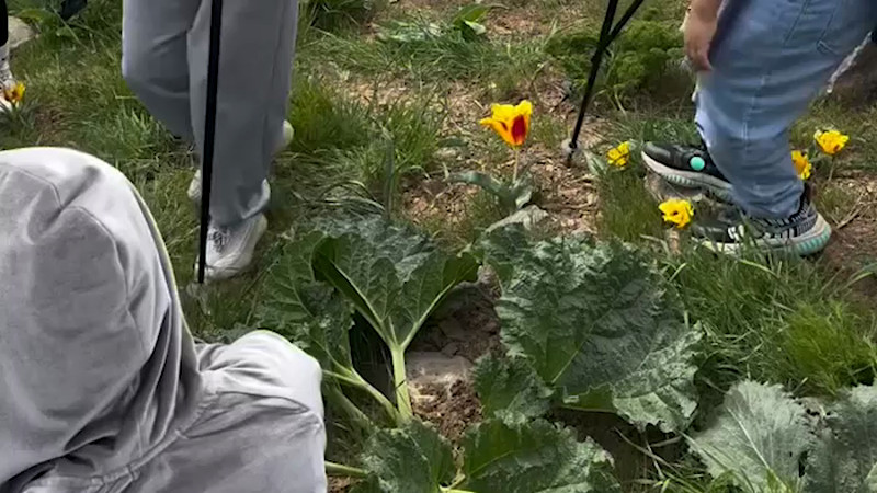 Кадры из видео