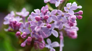 Казахстанцы получат дополнительный выходной