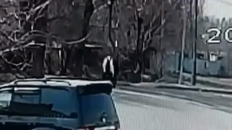 Кадры из видео