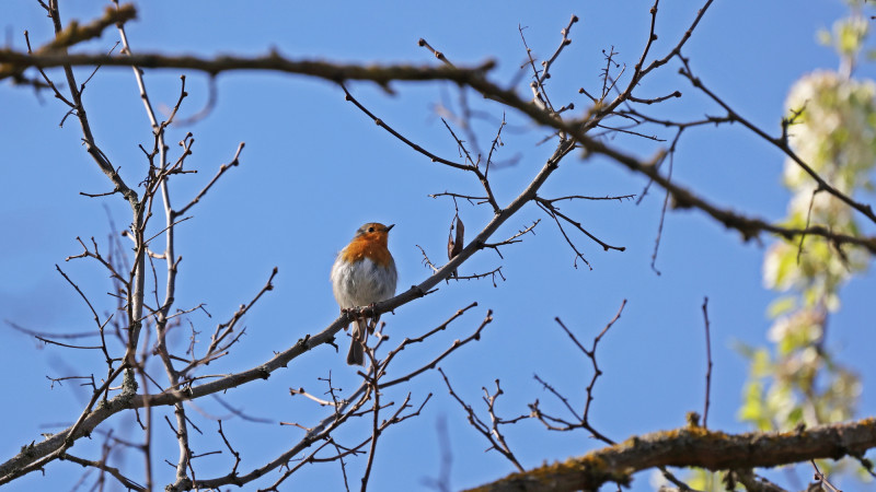 Фото:depositphotos.com