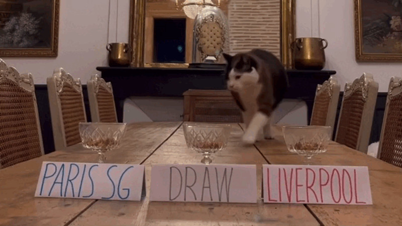 Кадры из видео