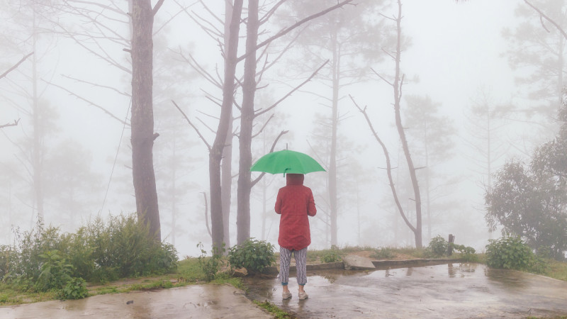 Фото:depositphotos.com