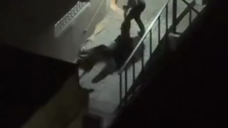 Кадры из видео