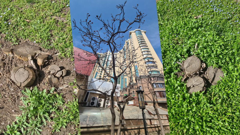 Фото: архив читательницы