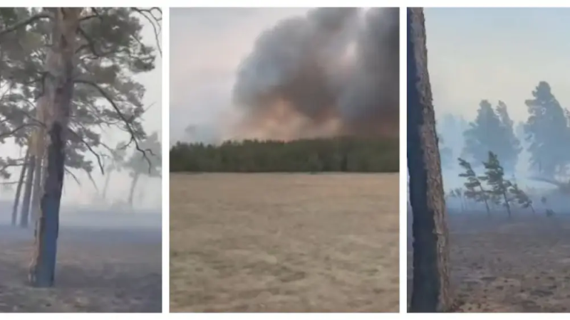 Кадры из видео