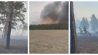 “Проявили халатность”: аким назвал виновных в лесном пожаре в области Абай