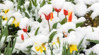 Апрельская непогода накроет Астану и Алматы