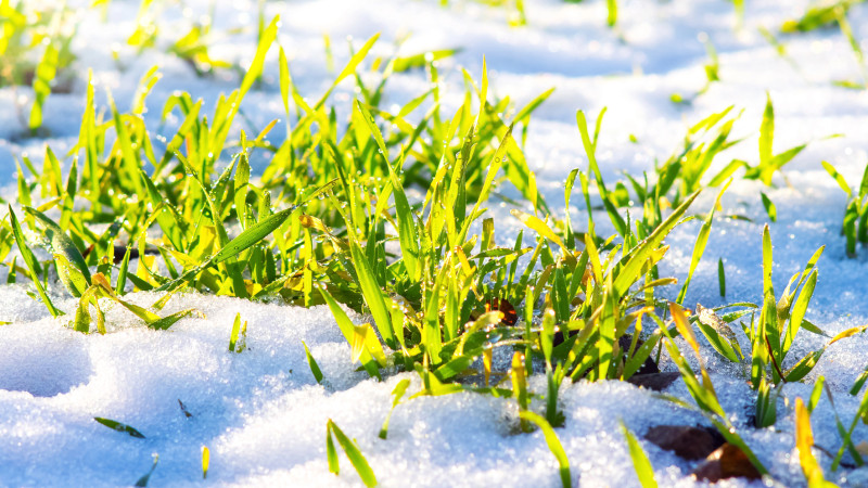 Фото:depositphotos.com