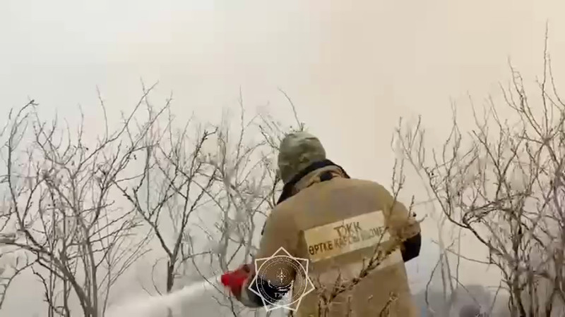 Кадры из видео