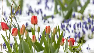 Синоптики предупредили о вторжении холода в Казахстан