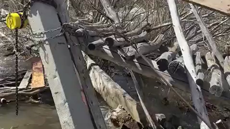 Кадры из видео