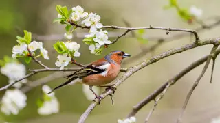 Резкие перепады температур: какая погода ждет казахстанцев 17 апреля