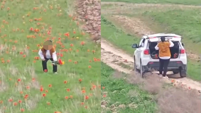 Кадры из видео