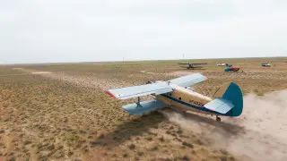 Для борьбы с саранчой в Туркестанской области задействовали самолеты и дроны