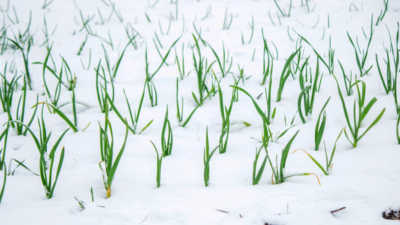 Фото:depositphotos.com