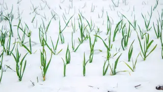 Как сильно ухудшится погода в Казахстане 19 апреля? Прогноз по городам